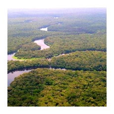 Конго – важный водный природный ресурс центральной Африки