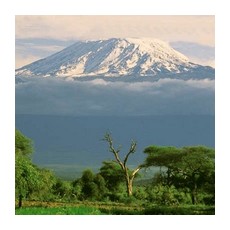 Национальный парк Килиманджаро в Танзании