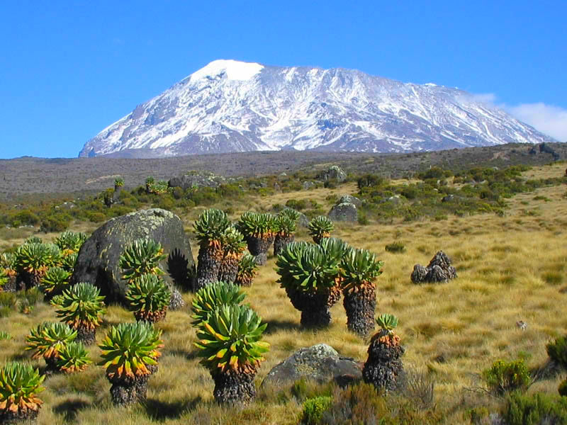 возраст вулкана Килиманджаро