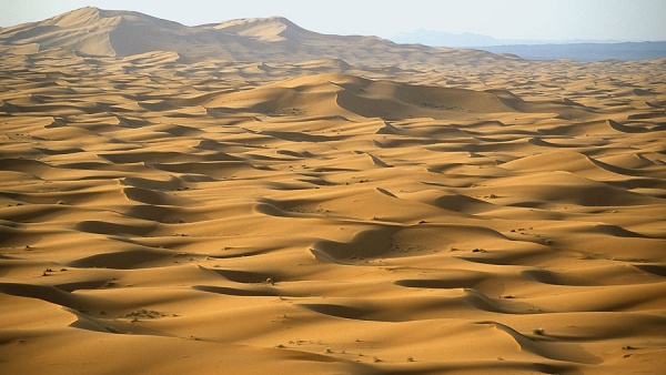 Самая жаркая пустыня Африки Сахара