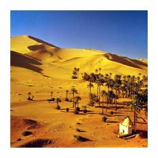 Пустыня Сахара в Алжире 2015 года 