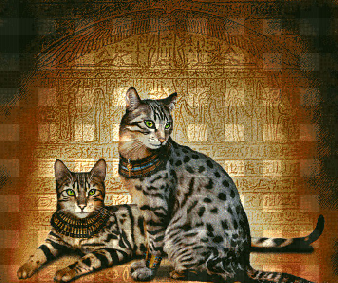 египетская кошка мау