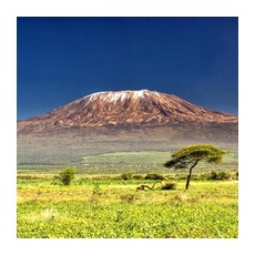 Экзотический отдых в Африке - восхождение на Килиманджаро