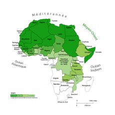 Распространение ислама в Африке
