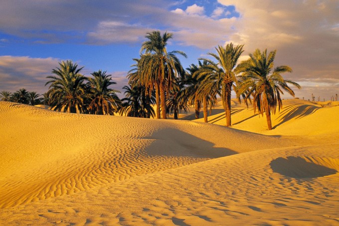 климат в Тунисе