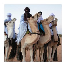 Население Северной Африки в пустыне немногочисленно