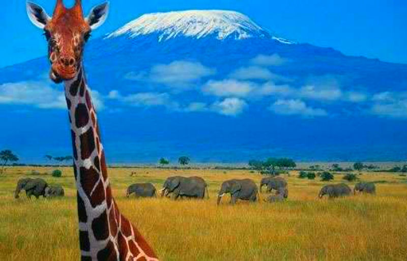 парк Килиманджаро