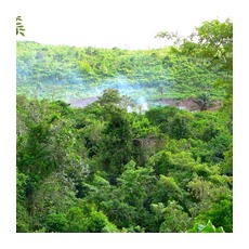 Природная зона Африки экваториальные леса
