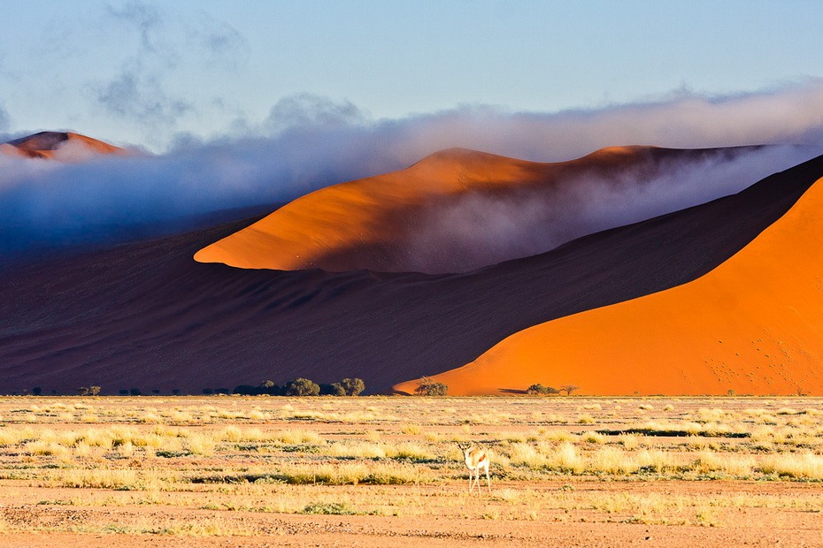 туман в пустыне Намиб