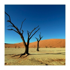 Пустыня Намиб – древнейшая в странах Южной Африки и мире