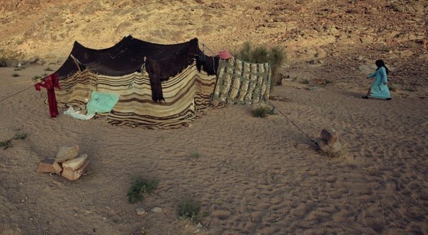 жилье бедуинов