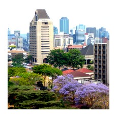 Хараре – цветущая столица Зимбабве